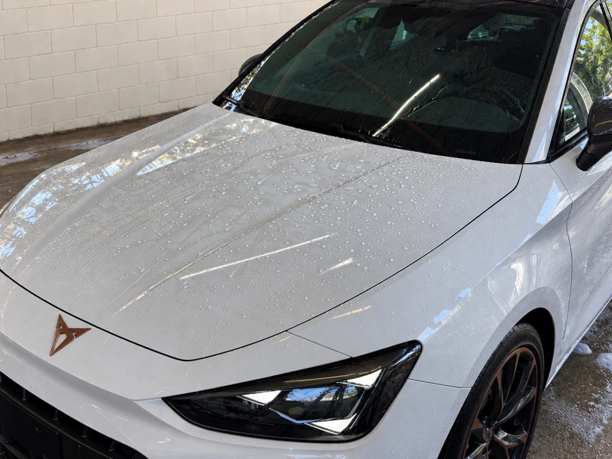 Agua en gotas sobre el cofre de un Cupra blanco con pintura protegida